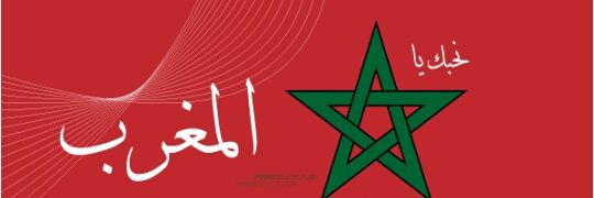 saro1210's profile banner image