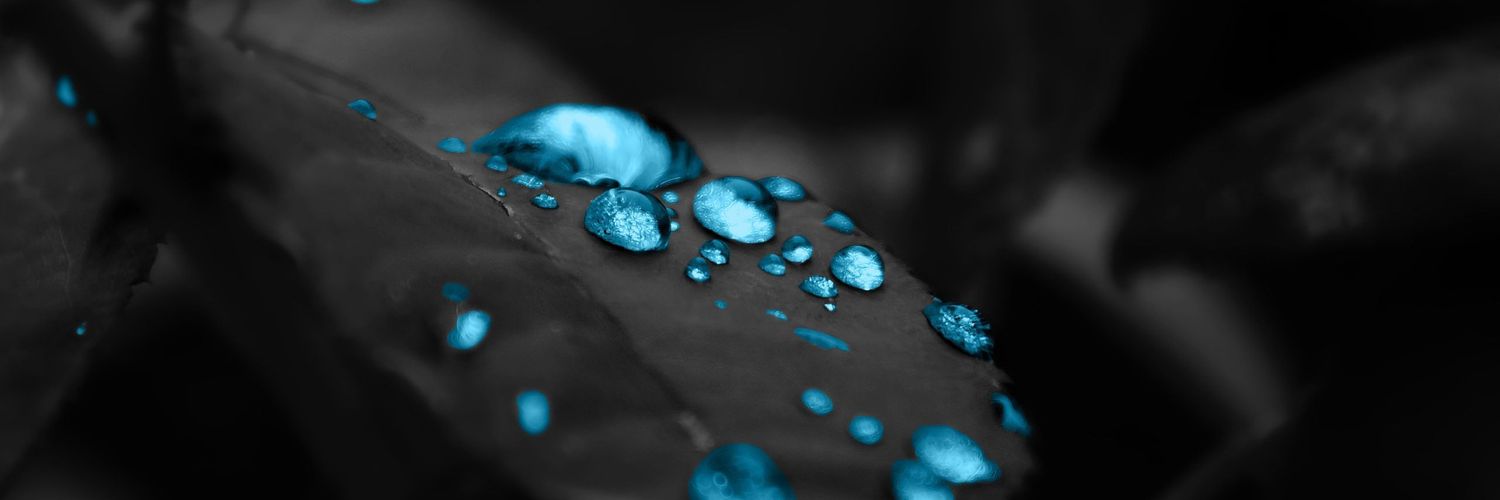 borexdane's profile banner image