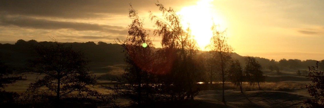 ProShopSWGC's profile banner image