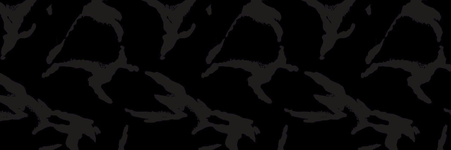 SOLDISCIPLES's profile banner image