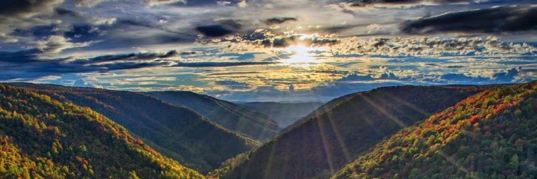 Aaron Chambers banner