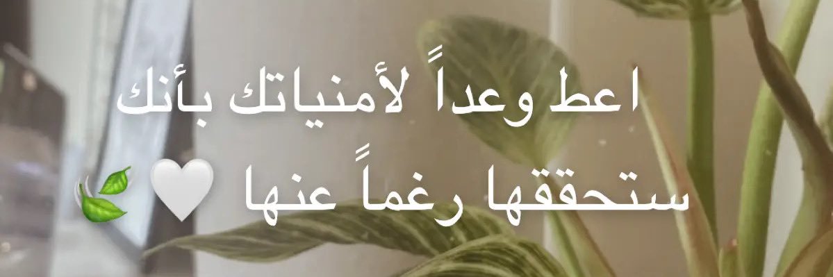 saraaa_ou's profile banner image