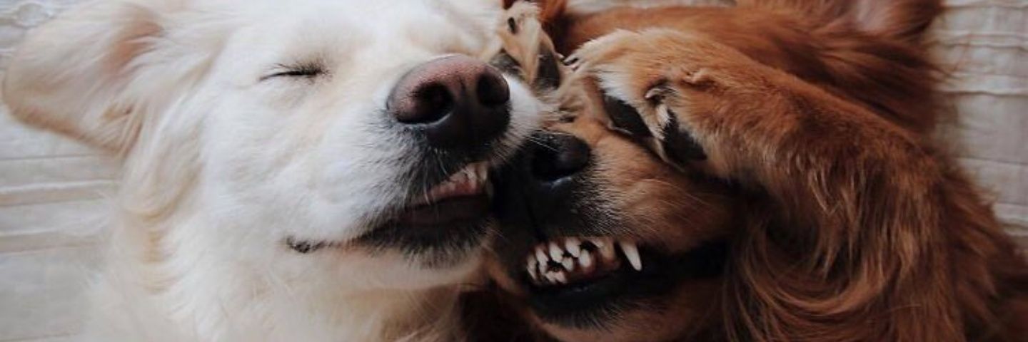 GabBorgs's profile banner image