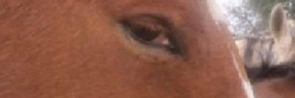 gianluca_fru Profile Banner