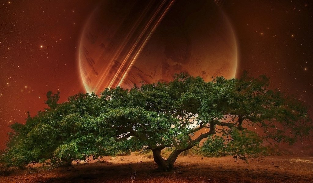 _sweet_echo_'s profile banner image
