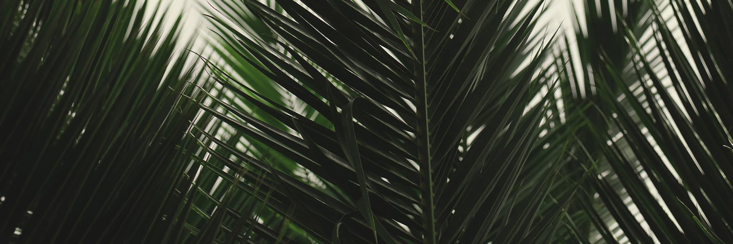 danielbovey's profile banner image