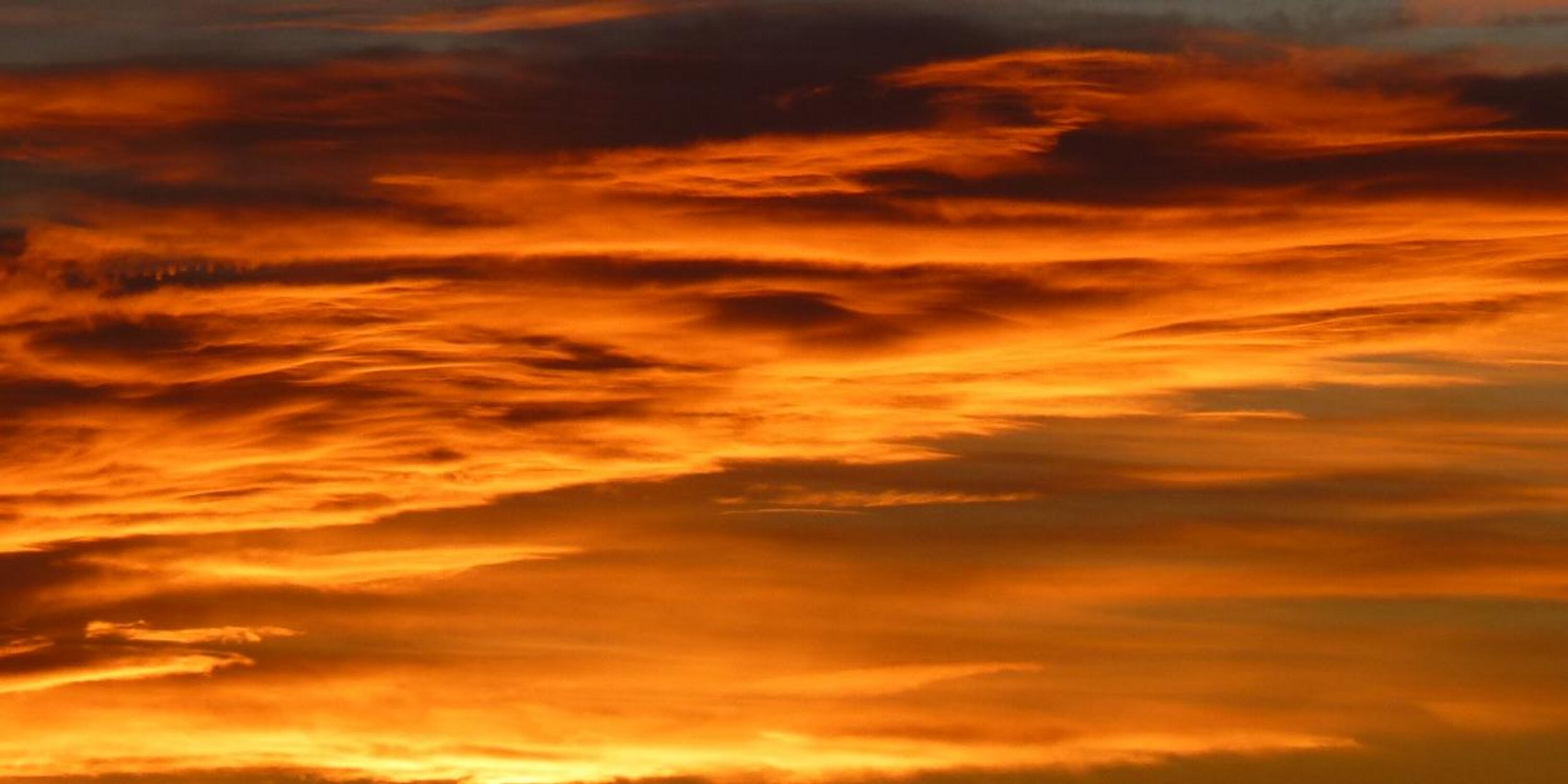 Rotary Club of Ascot banner