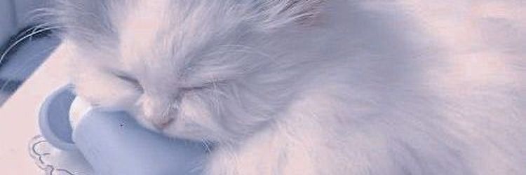 Chrobsers's profile banner image