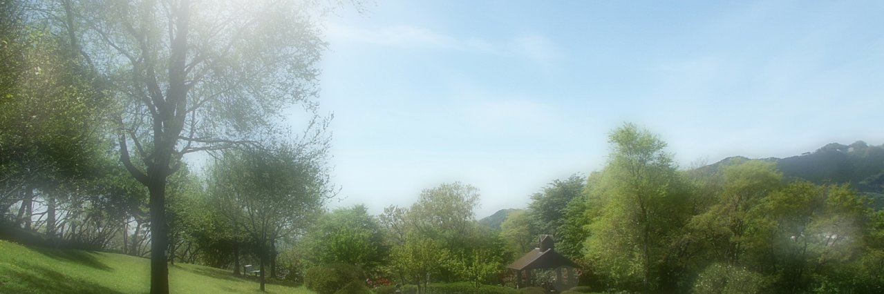 今日のアポロ.....nn🏍🐞 banner