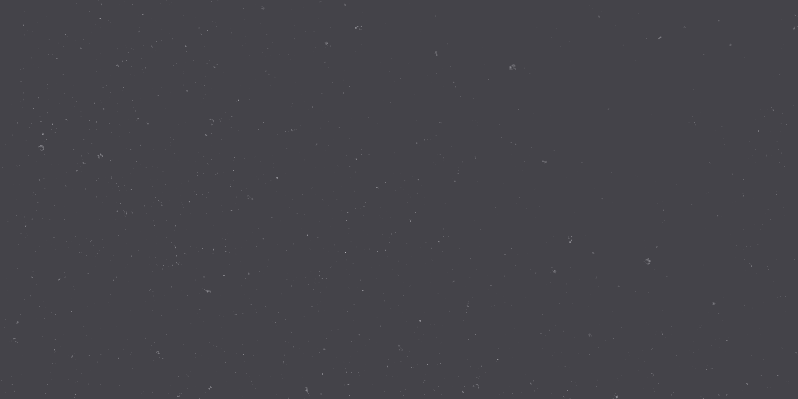 Sebastian Pickl banner