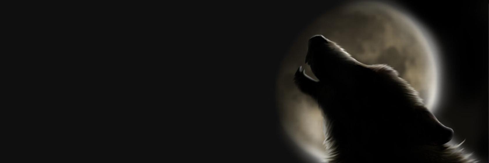 Turkishracist's profile banner image