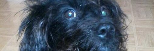 loutalmc's profile banner image