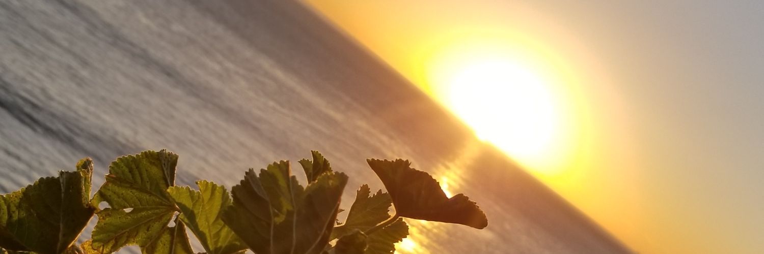PreciousJanae's profile banner image