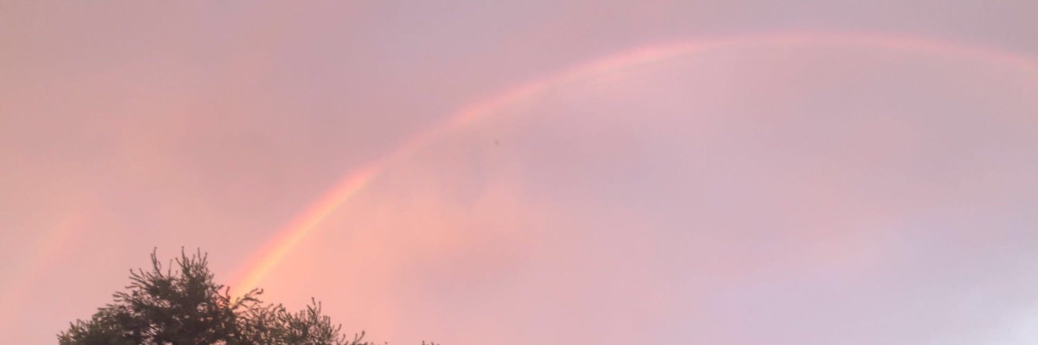 MattinglyEm's profile banner image