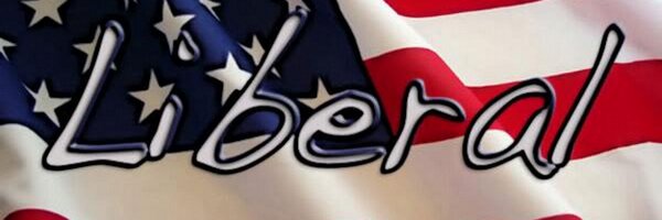 TheNewDemocrat Profile Banner