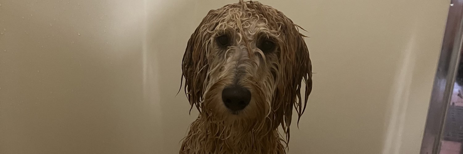 llstratt's profile banner image