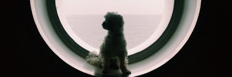 abbiebeebee's profile banner image