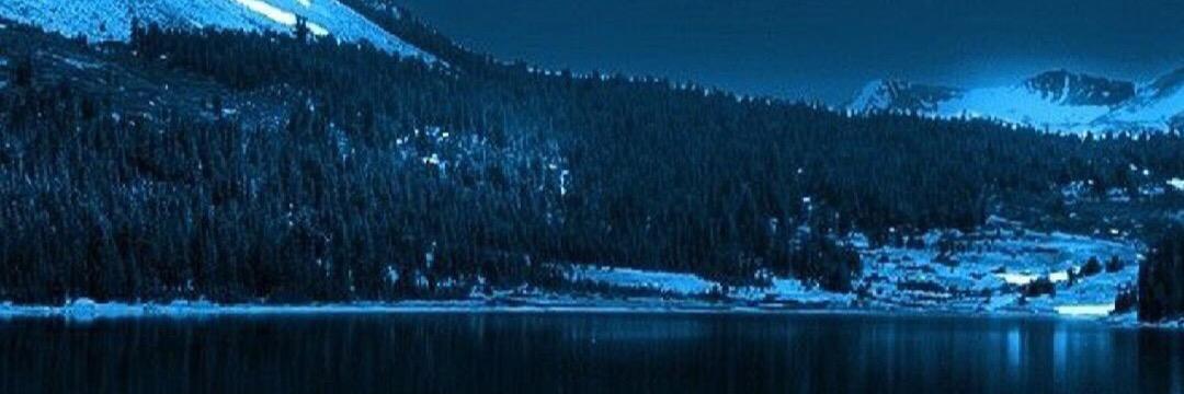 gewillits3's profile banner image