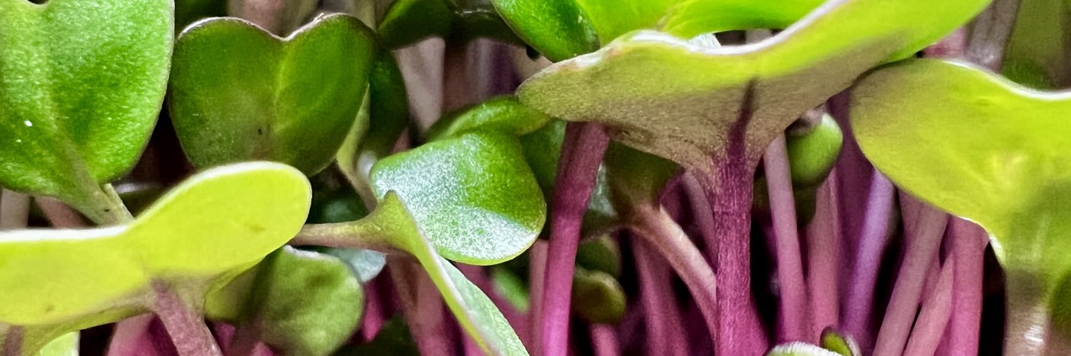 Logan STILLWELL banner