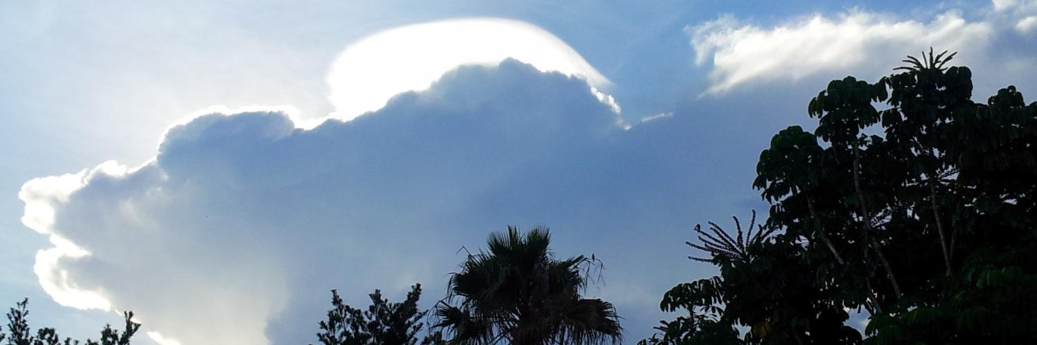 ppzbastos's profile banner image