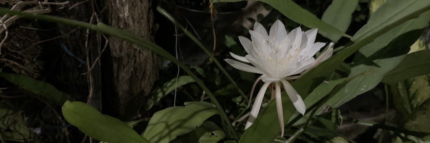 mbdrnk's profile banner image