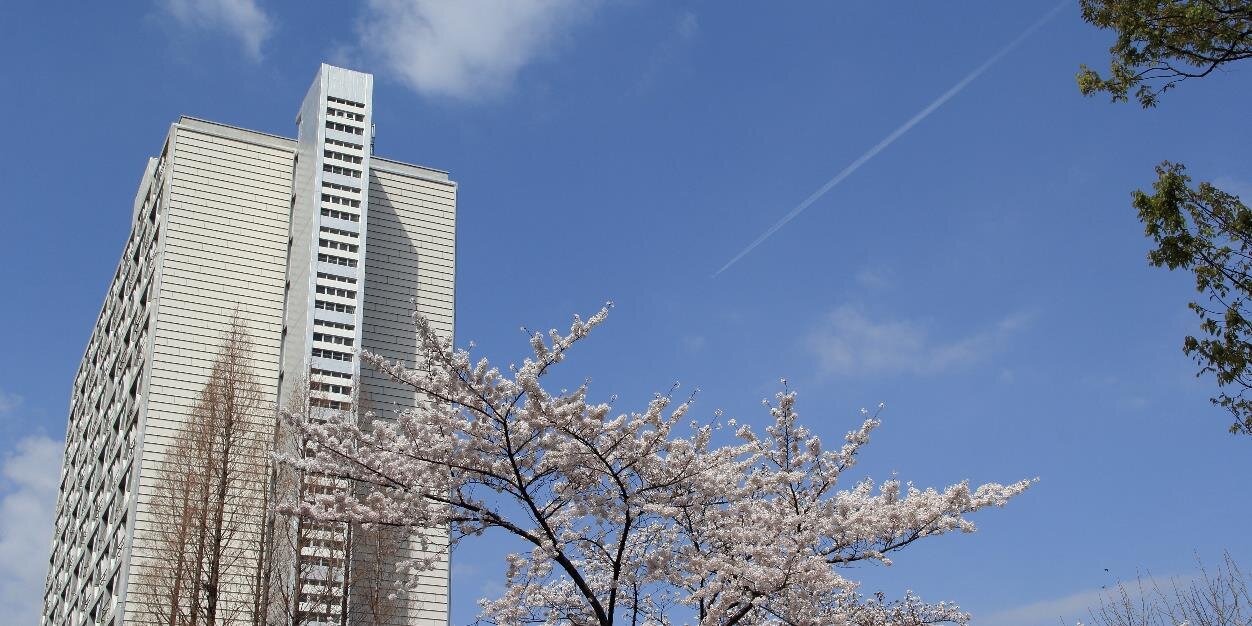 wasainfo's profile banner image