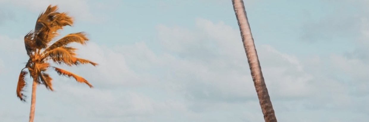 vuuudoo's profile banner image