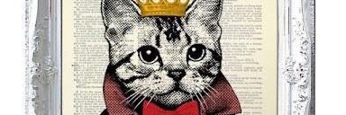 Publi_Cats's profile banner image