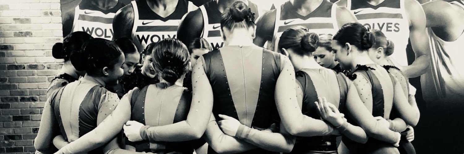 MoundsView Viewettes banner