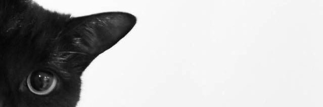 นอริส banner