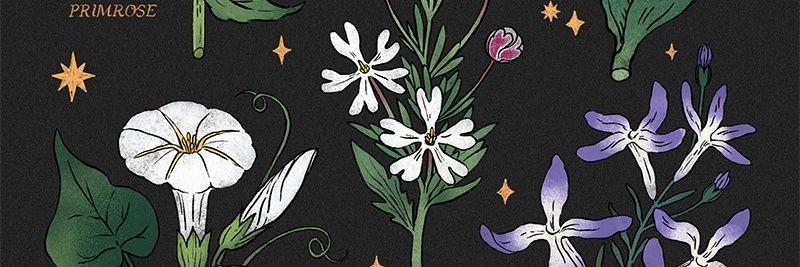 Ryuka_S's profile banner image