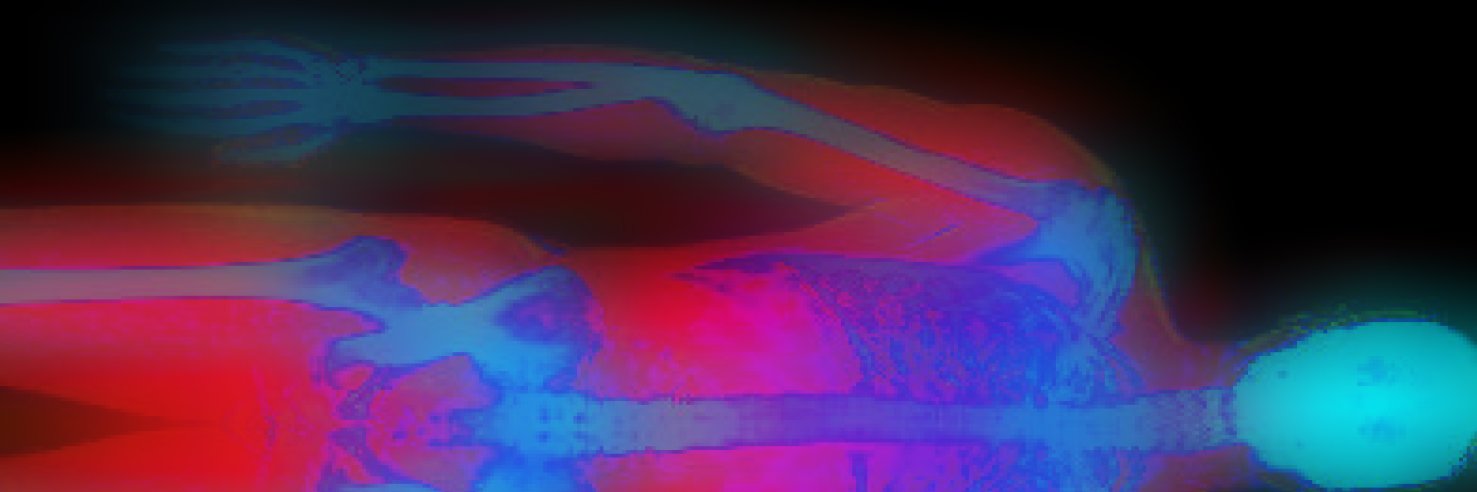 James Smoliga, DVM, PhD's banner