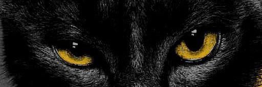 N0_190's profile banner image