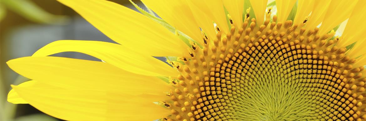 JanMDodd's profile banner image