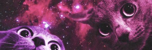 xJoseBx's profile banner image