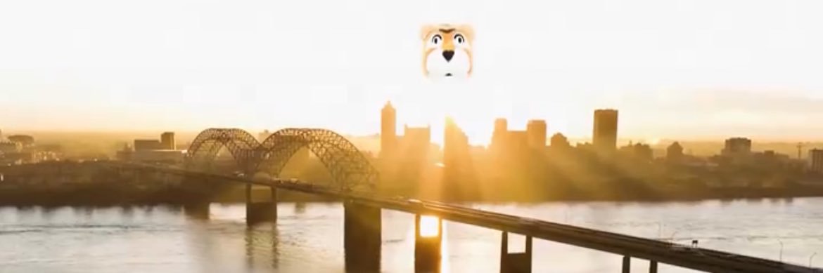 All For Memphis banner