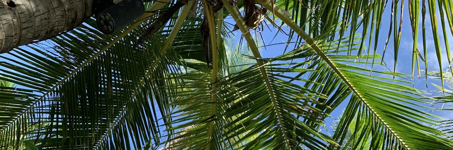 Hanan Al-Turkistani banner