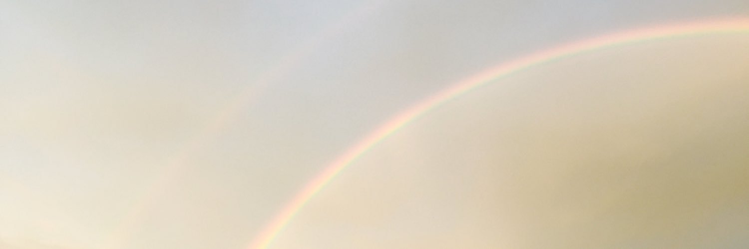 Janelle Warren banner