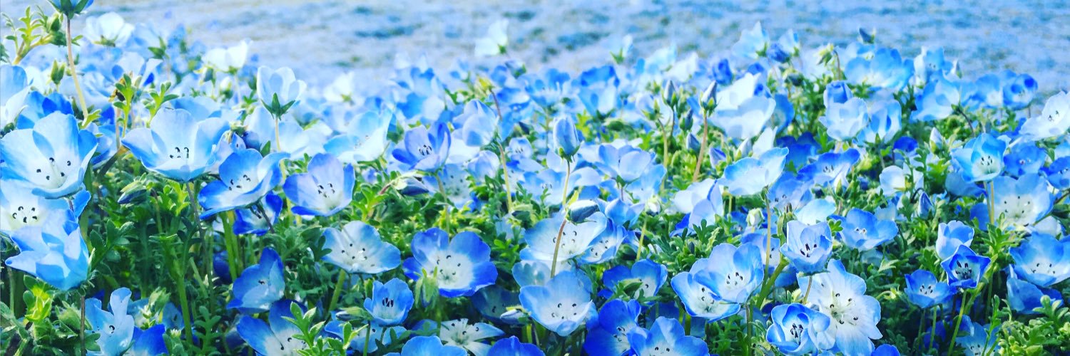 maririn1023's profile banner image