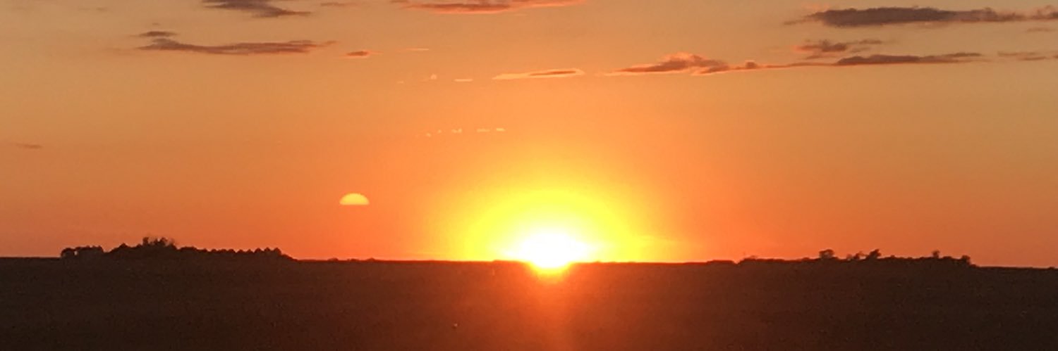 mrshollydick's profile banner image