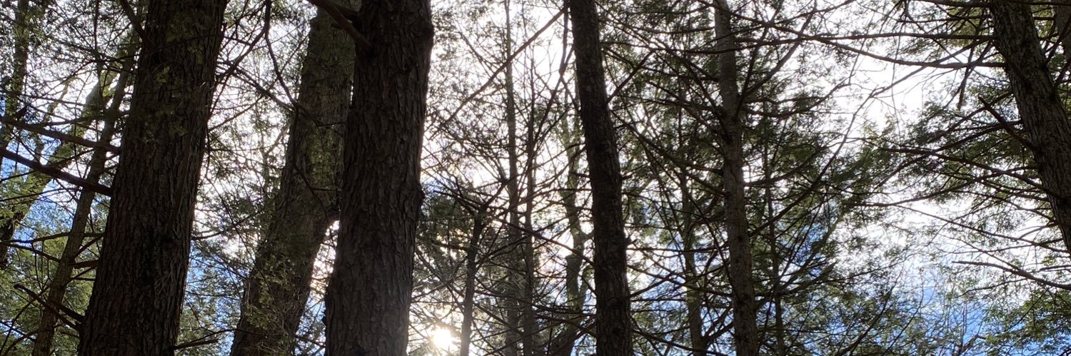 Ashley_Currier1's profile banner image