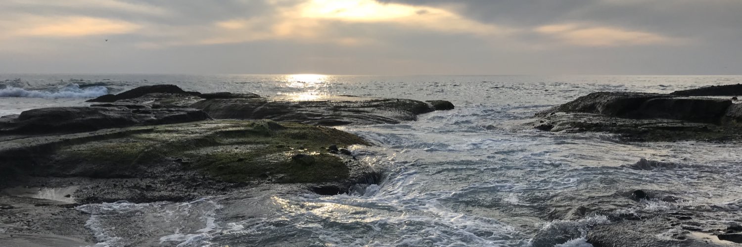 rylanbusselberg's profile banner image