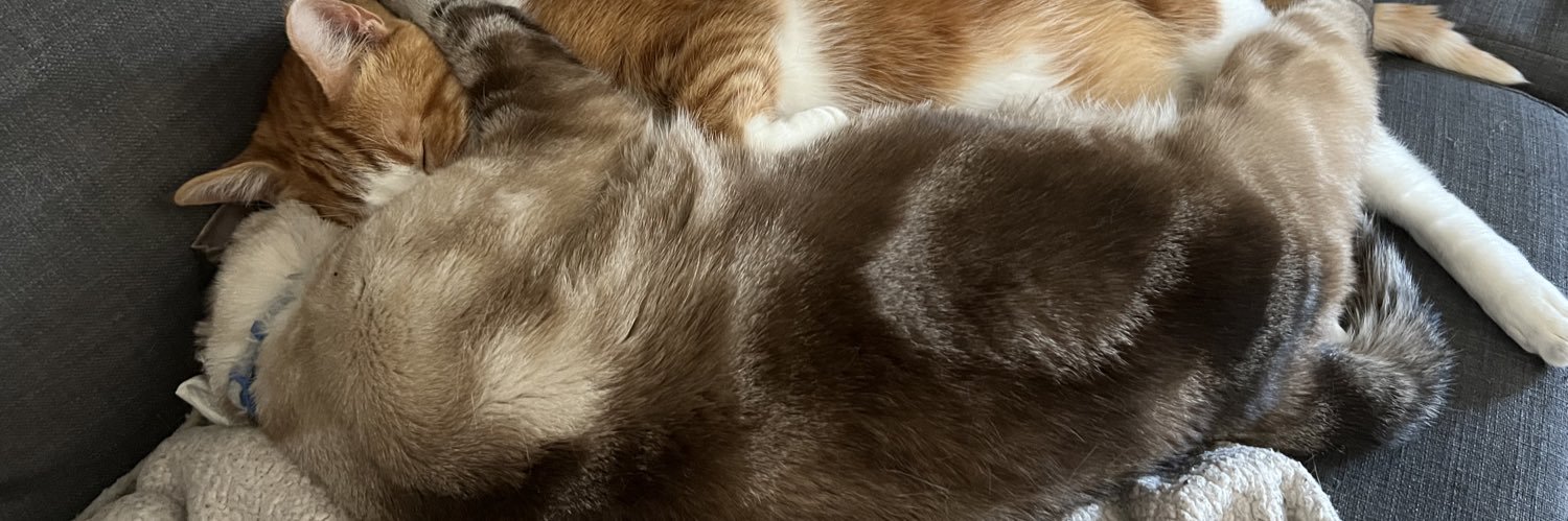 MeganLuvsShaneD's profile banner image