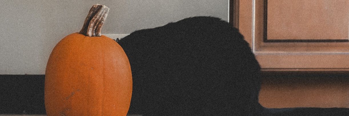 Abby. banner