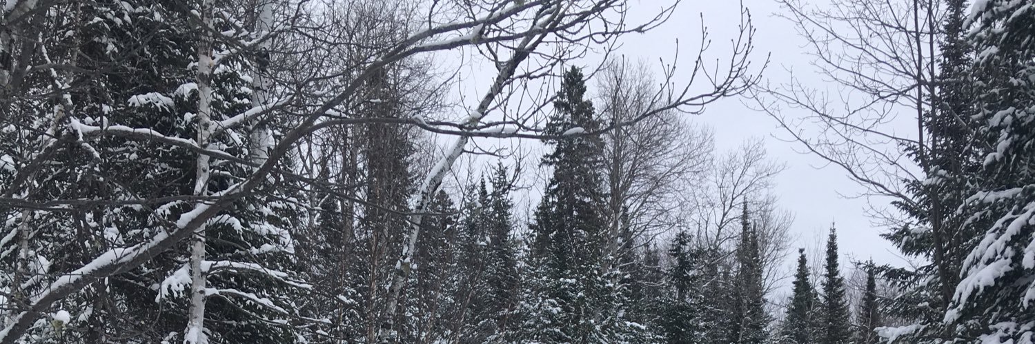 bigdean14's profile banner image