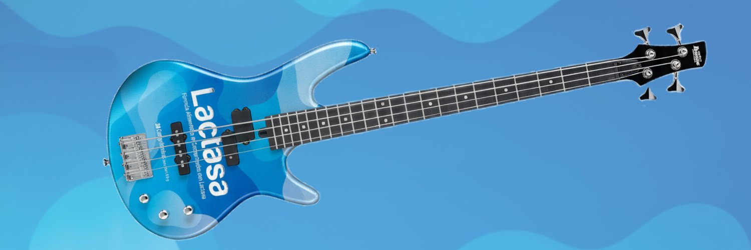 LactaseBassist's profile banner image