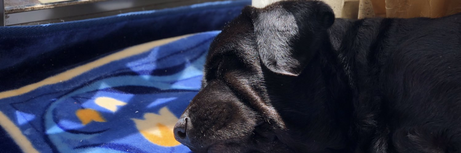 tagaking_ver2's profile banner image