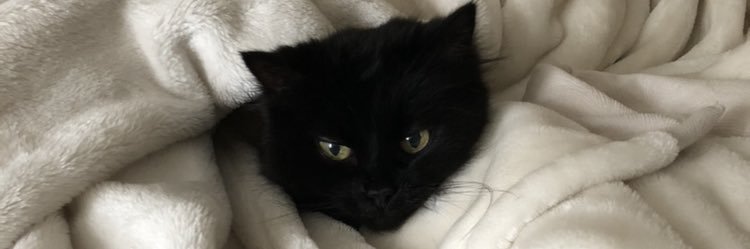 ctsies's profile banner image