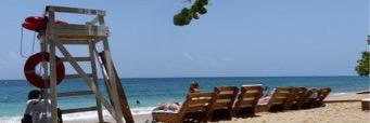 Janet_Wingrove's profile banner image