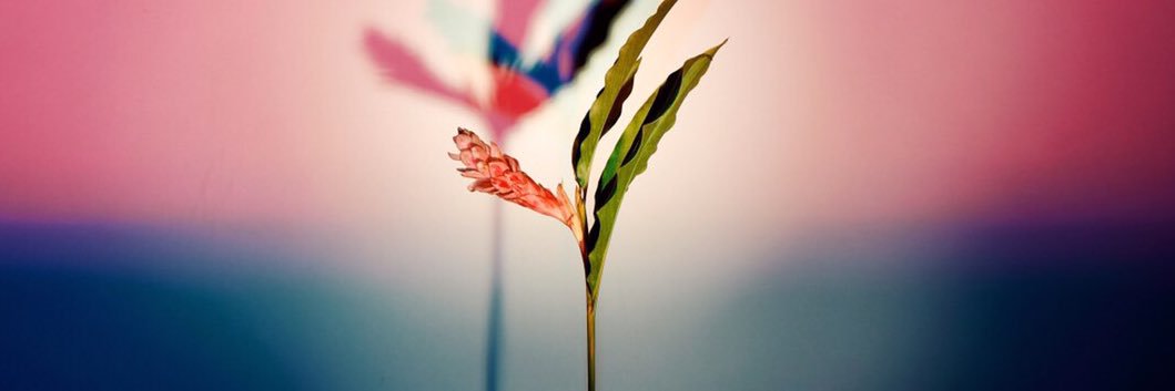Sochic_Studio's profile banner image